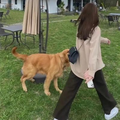 七个秘书